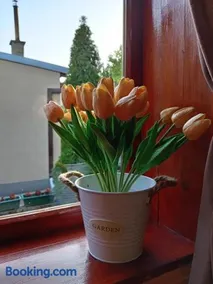 Apartman IVANA - Image 2
