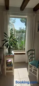 Ana - Image 3