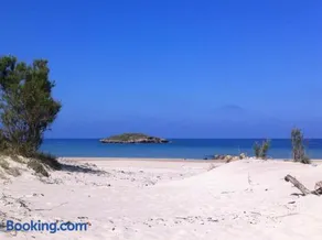 Dor on the beach - Image 4