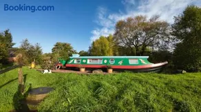 The Sitting Duck - Image 2