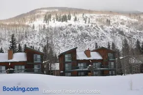 East Vail Condo #102 - Image 2