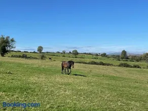Arney Lodge Farm - Image 3