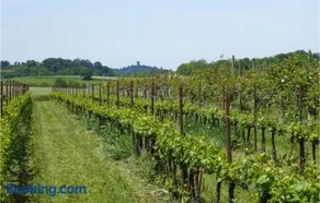 Nice Home In Marano Di Valpolicella - Image 1