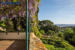 Villa Acacia - Image 3