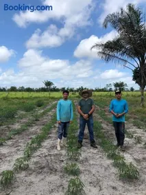 Fazenda na Amazônia diversidade botânica perto da praia - Image 2
