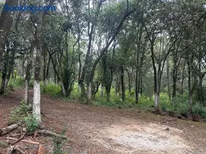 Cabaña en Villa del carbón - Image 2