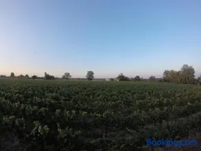 Domaine de Montels - Image 3
