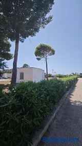 La casa del Pino - Image 2
