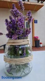 Room "Iva" - Image 2