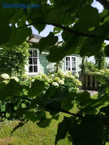 Romantisch Huisje nabij het strand met uitzicht op de tulpenvelden - Image 1