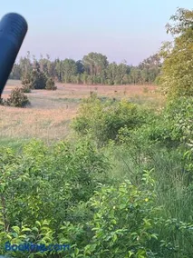 Schou Lykke Nord - Image 2