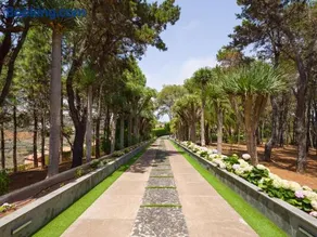 Finca Los Pinos - Image 3
