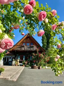 Weingut Winzerzimmer Rothschädl - Image 1