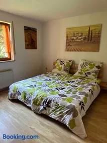 Geraumige 2-Zimmer Ferienwohnung in Freiburg - Image 2