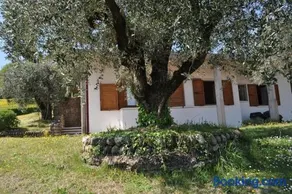 LA CASA TRA GLI OLIVI - Image 1