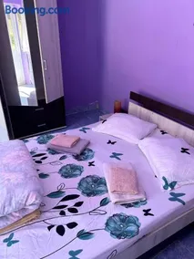 Casa Hrincescu - Image 3