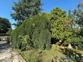 Borgo Caprari - Image 4