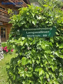 Ferienwohnung Langwallner - Image 2