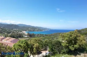MORA - Image 2
