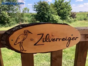 Safaritent Zilverreiger - Image 3