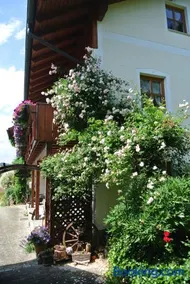 Haus Am Waldrand - Ferienwohnung Augustin - Image 2