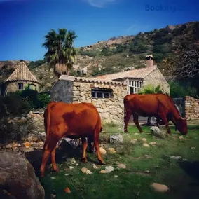 Holiday House La Teja - Image 2