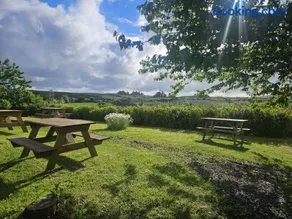 The Hedgerow Kilshanny - Image 3