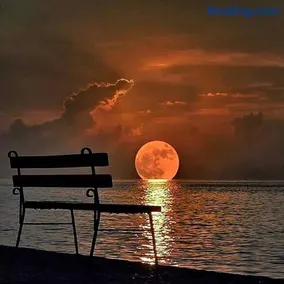 Moon Light Guest House - Image 2