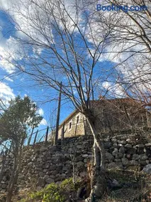 Mark Toma Guesthouse - Image 3