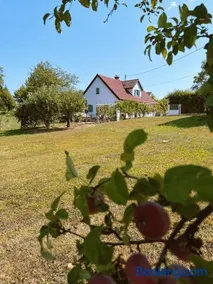 Maria's Orchard Cottage - Nature Retreat in Slovenia - Image 3