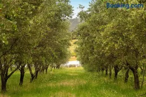Olive Sanctuary by Tiny Away - Image 2