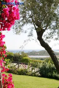 Villa Myrtos - 300mt dal mare - Image 3