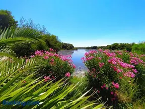 Camping Naturiste Riva Bella 4* - Image 3
