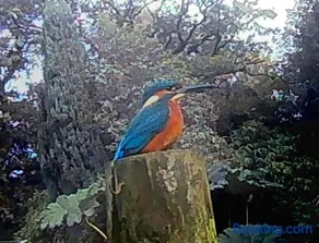 The Nest at Riverside Cottage - Image 5