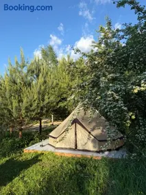 Pine Nest Glamping - Image 2