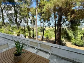 Charming Villa for nature lovers in Theotoky Estate Vineyard and olive mill - Image 2