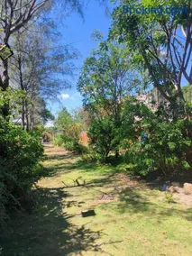 Biên Rừng Homestay - Image 2