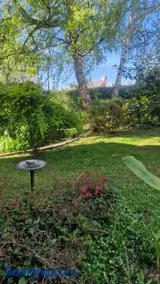 Le Petit Marais - Image 2