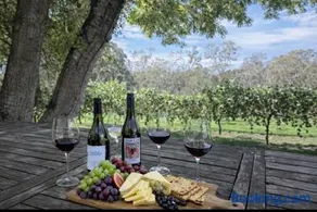 Woodlands - Vineyard setting - Image 2
