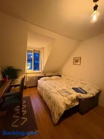 Cosy room in attic flat in the center of Zurich - Image 2