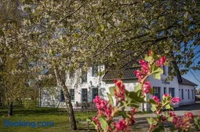 Utspann Schaprode - Neu 2026 - Image 3