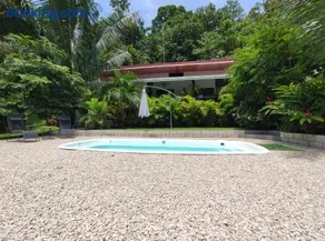 House in the palm forest - Image 3