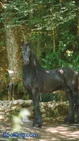 HARA Bıçkıdere - Image 3