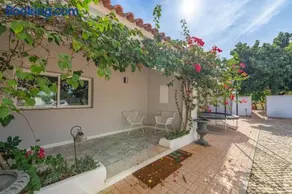 Orange Blossom Grove - Image 4
