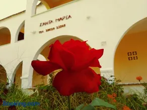 Santa Maria - Image 2