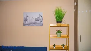 Cosy Flat off City Centre - Image 1