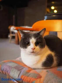 Guesthouse PAW - Image 2