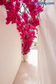 Malacosta Sky Suites - Private Rooftop Suites - MC Apartments Ibiza - Image 2