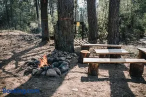Pinčiukas Bunkeris - Image 2