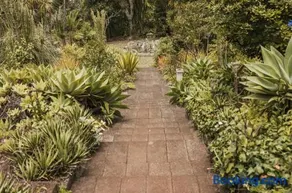 Bastion del Drago - Image 5